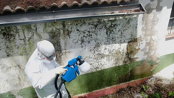 Top rated local Commercial Mold Remediation specialists in Carversville, PA